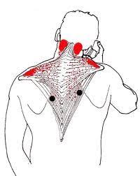 Pin On Massage