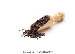 Image result for Embelia libeniana