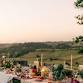 Wines Around the World