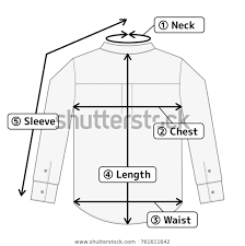 business shirt illustration size chart english stock vector