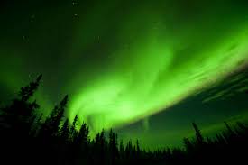 Obituary Reiner Jorge Eugenio Carreon Of Jacksonville Florida Arlington Park Funeral Home