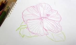 We did not find results for: Drawing Flowers In Colored Pencil A Simple Tutorial
