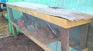Keep in mind this is the minimum amount of space to provide for your quail, and they would undoubtedly appreciate much more than that. Easy Quail Hutch You Can Build In One Weekend Backyard Poultry