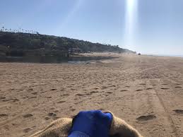 Zuma beach is a tanning salon in pleasantville, ny but it's also one of the most beautiful beaches in malibu, ca. Zuma Beach Biodiversity The Beach