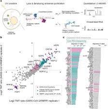 Verificăm manual fiecare companie și anunț. A Direct Rna Protein Interaction Atlas Of The Sars Cov 2 Rna In Infected Human Cells Biorxiv