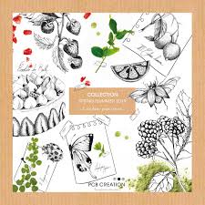 Pcb Creation 2019 Spring Summer Usa Catalog By Auifinefoods Issuu