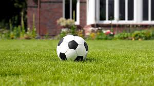 Rasen Saen Stiftung Warentest Welcher Rasen Ist Der Beste Bayern 1 Radio Br De