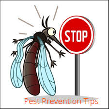 Timber pest inspections (this standard) the changes to the previous edition of this standard comprise the following: Pest Control Charters Towers Pest Treatment Fully Qualified Controller