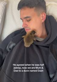 Boyfriend Can't Say No: Our Duck Named Dash