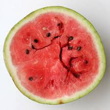 Image result for Citrullus lanatus