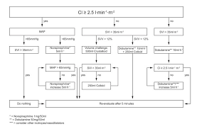 enhanced hemodynamic monitoring protocol with flotrac