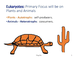 We did not find results for: Cellular Respiration A Catabolic Exergonic Oxygen O 2