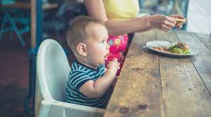 A booster seat can help make mealtime a safer and more enjoyable experience. The Best Booster Seats For Dining Of 2021 Reviewed
