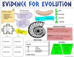 Biology Evidence For Evolution Graphic Notes Inb Or