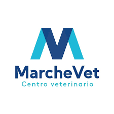 Centro Veterinario MarcheVet