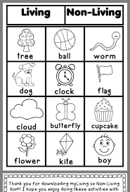 Pin On Science Lessons