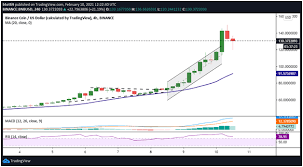 Yahoo finance's julie hyman, brian sozzi, and myles udland speak with autonation ceo mike jackson about the company's most recent quarter, 2021 outlook. Binance Coin Bnb Price Corrects After All Time High At 148 Quick Look News Dao Daily News