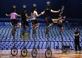 Cirque Du Soleils Sydney Performance Cancelled After Artist