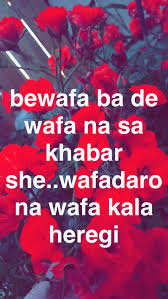 Pashto Shayari Funny Attitude Quotes Pashto Quotes Pashto Shayari