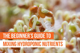 Customers across the globe rely on masterblend cleaning products. The Beginner S Guide To Mixing Hydroponic Nutrients Upstart University
