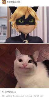 No Difference Miraculous Ladybug Memes Miraculous Ladybug Funny Miraculous Ladybug