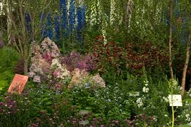 Flowers of the forest poem. A Flowering Tribute To Emily Dickinson Npr
