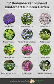 Check spelling or type a new query. 12 Bodendecker Bluhend Winterhart Fur Ihren Garten Winterharte Pflanzen Garten Garten Bepflanzen Garten Anpflanzen