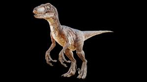 Realistic Raptor 3d Model 3d Model Raptor Realistic