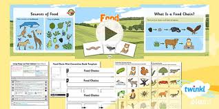 They are prey animals and are designed to detect and escape danger before it detects them. Year 2 Food And Energy Transfer Chains Worksheets Twinkl
