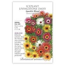 Some plants are naturally adapted to dry conditions, surviving with protection mechanisms such as desiccation tolerance, detoxification. Iceplant Sparkle Blend Iceplant Livingstone Daisy Seeds Heirloom Sustainable Organic Q8