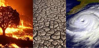Infografía mostrando los impactos directos del cambio climático en la salud