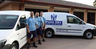 Pest control sydney city specializes in providing a professional, punctual and courteous service with a smile. Pure Dry Pest Control Quality Service At An Affordable Price