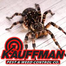 Individuals around 100 pounds have been recorded. All American Wildlife Pest Services Home Facebook