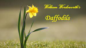 It is one of his best lyric poems in modern times. I Wandered Lonely As A Cloud Daffodils William Wordsworth Youtube