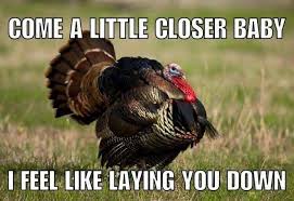 Funny Turkey Hunting Memes Hunting Memes Hunting Humor Turkey Hunting