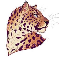 Amur Leopard Amurleopard Leopard Leopardo Bigcats Cat Animals Leopard Art Tiger Art Big Cats Art