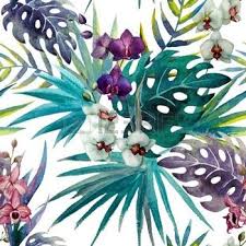 Dessin Fleur Tropicale Banque D Images Vecteurs Et Illustrations Libres De Droits Motif D Aquarelle Murs A L Aquarelle Dessin Fleur