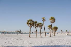 Learn how we are #transformingtampa's tomorrow and get a glimpse of. Die Tampa Bay Area Ganz Ohne Springbreak Anton S Ganze Welt