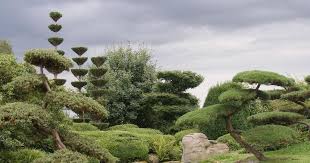 Steine, bäume, moos und sand sind wichtige elemente im zen garten. Gestaltungstipps Fur Japanische Garten Mein Schoner Garten