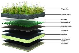 Le Toit Vert Gagne Du Terrain Build Green La Curation