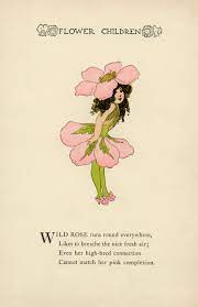 Wild Rose Flower Child Free Storybook Illustration Flower Child Kids Poems Vintage Drawing