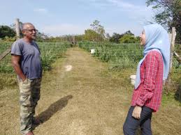 Maybe you would like to learn more about one of these? Pertanian Jana Pendapatan Pasca Covid 19 Malaysia Aktif