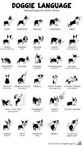Dogs Feeling Chart Pets Dogs Cute Animals