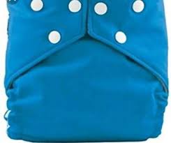 Details About Fuzzibunz Fuzzi Bunz Pocket Cloth Diaper One Size Elite Blue Lagoon