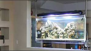 Aneka model aquarium / 1 : Cantiknya Dekorasi Ruangan Dengan Model Akuarium Modern
