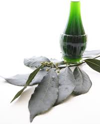 Maybe you would like to learn more about one of these? Allorino Liquore D Alloro