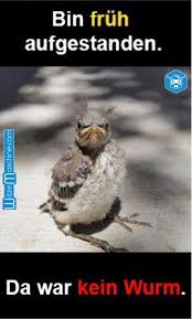 Der Fruhe Vogel Fangt Den Wurm Im Echten Leben Lustige Bilder Montag Witze Funny Shit