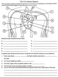 Brilliance Circulatory System Diagram Worksheet Parts Of Circulatory System Jpg 600 795 Circulatory System Human Body Systems Circulatory System For Kids