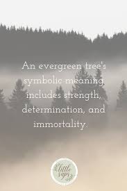 Our Ancient Kin Observed Evergreens As Hugely Powerful In Symbolism Because They Stayed Green Through The Dark Half O Evergreen Nature Quotes Nature Meaning