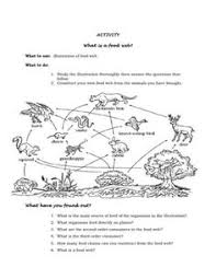 Food Web Worksheet Activity 6 Answers Food Chain Worksheet Food Web Worksheet Food Web